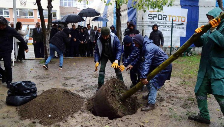 Terör saldırısında hayatını kaybeden Yağmur’un anısına fidan dikildi