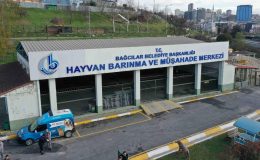 Bağcılar’da 15 bin 973 sokak hayvanı tedavi edildi