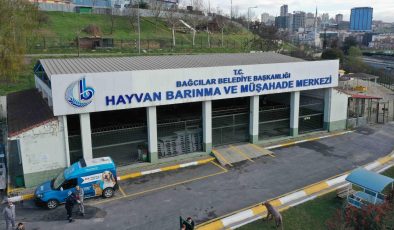 Bağcılar’da 15 bin 973 sokak hayvanı tedavi edildi