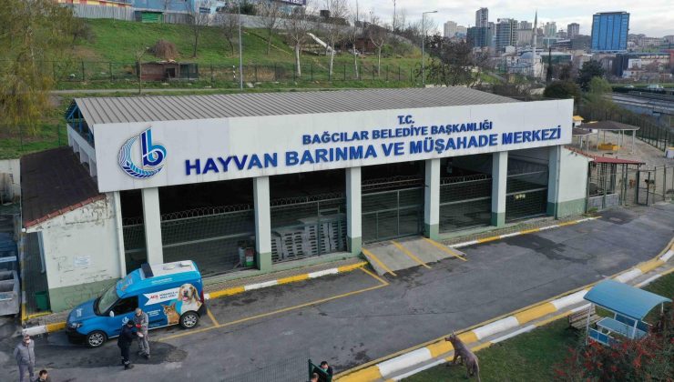 Bağcılar’da 15 bin 973 sokak hayvanı tedavi edildi