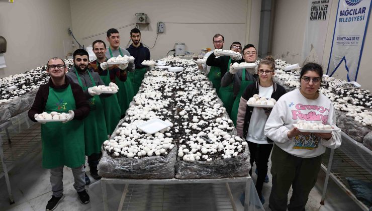 Depremden sağ kurtulan engelli Esmanur, depremzedelere yardım eli uzattı