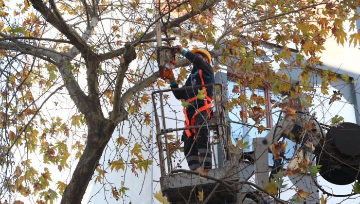 Bağcılar’da budanan dallar geri dönüşüme kazandırılıyor
